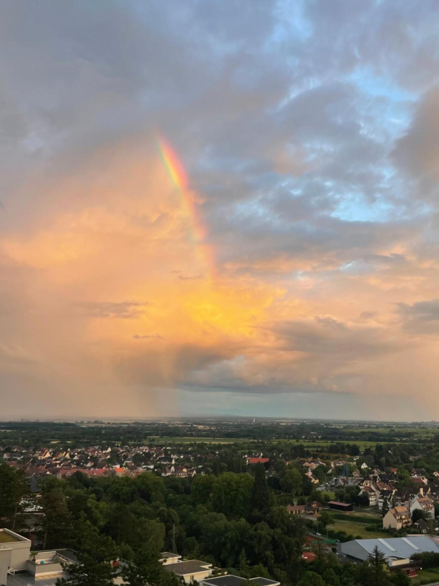 Avec Vue Appartement Obernai